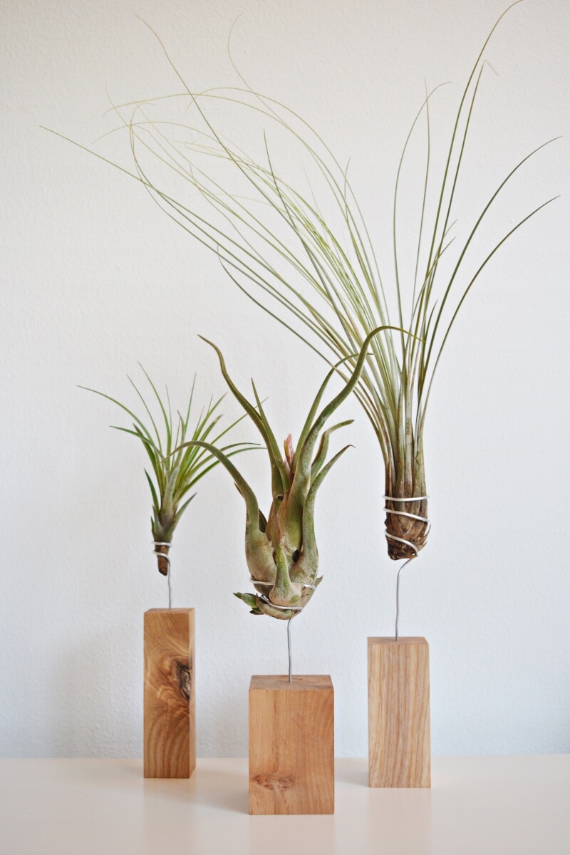 EthosDesign